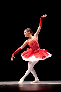 Vrtnica, foto V.Leban